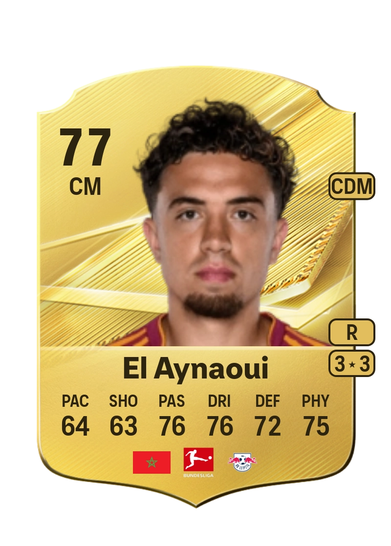 Neil El Aynaoui