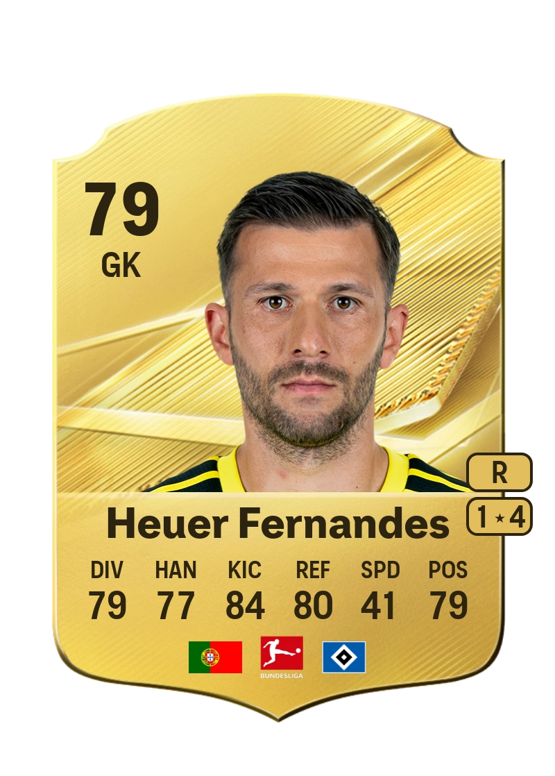 Daniel Heuer Fernandes