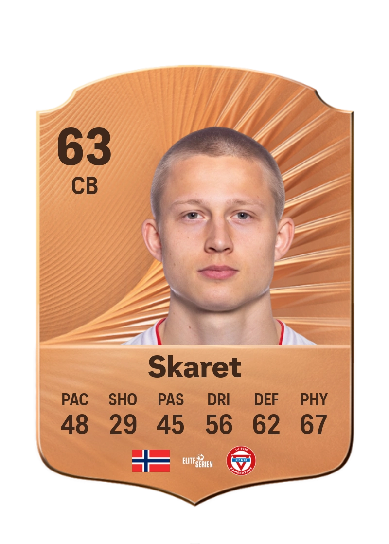 Brage Skaret