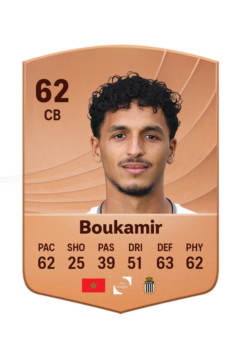 Mehdi Boukamir