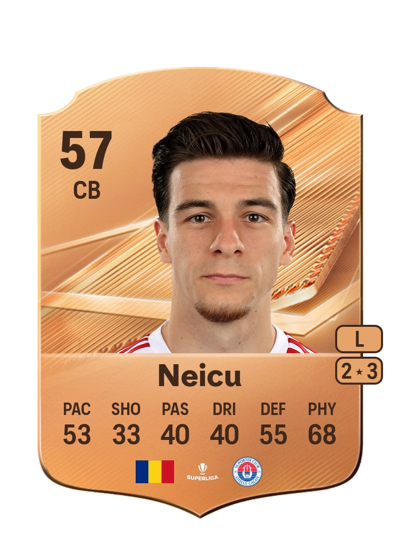 Dan-Emilian Neicu