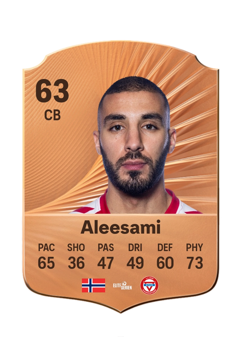 Ayoub Aleesami