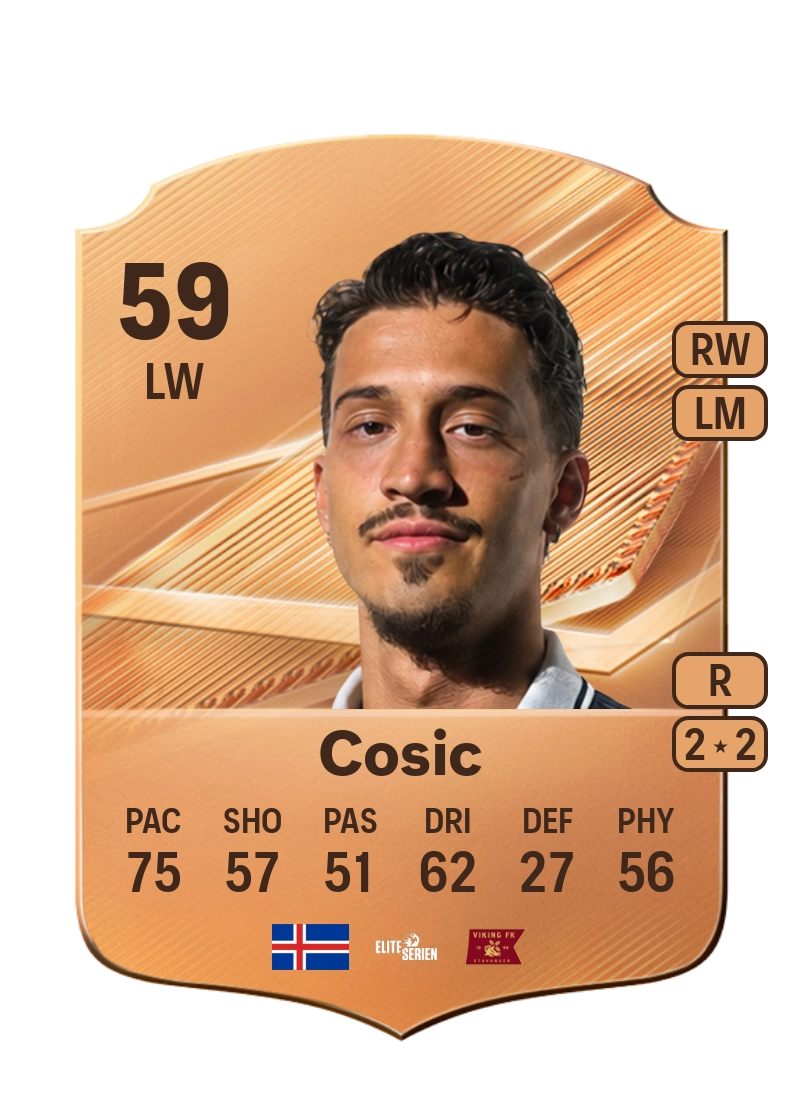 Amin Cosic