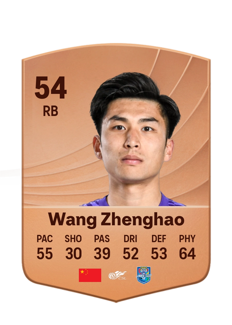 Wang Zhenghao