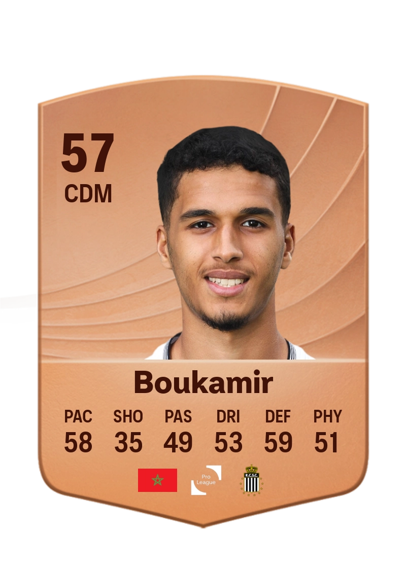Amine Boukamir