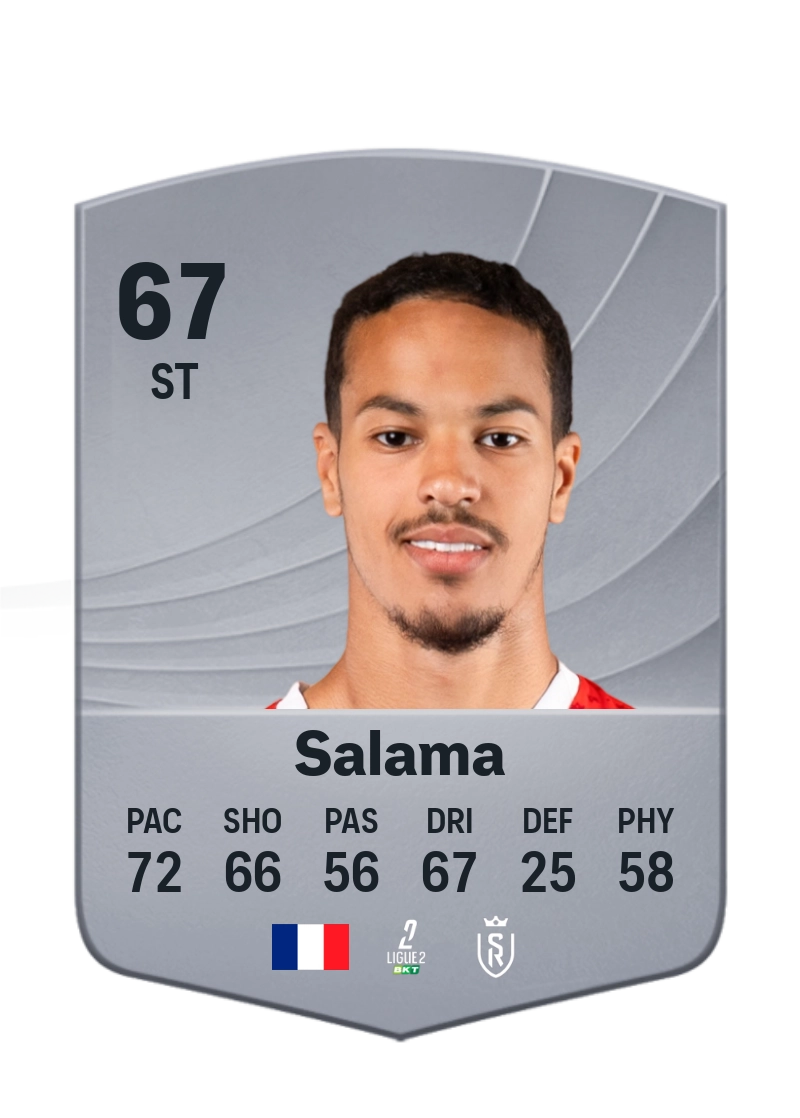 Amine Salama
