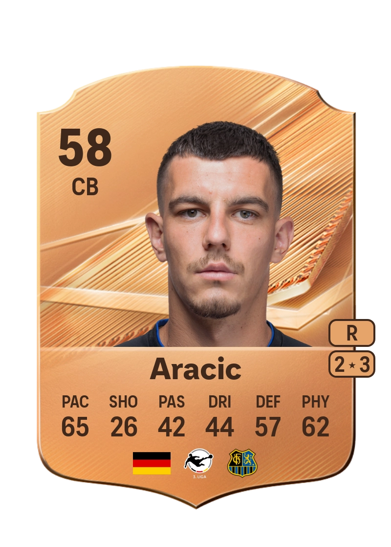 Nikola Aracic