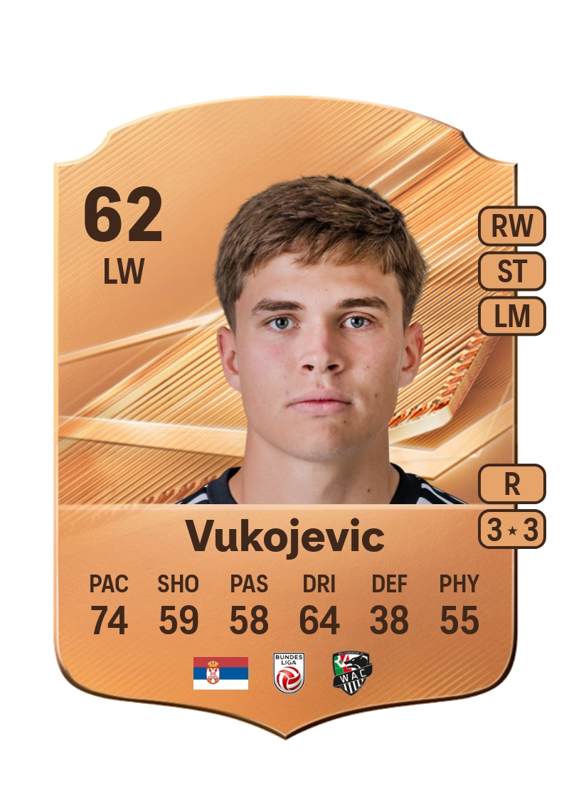 Veljko Vukojevic