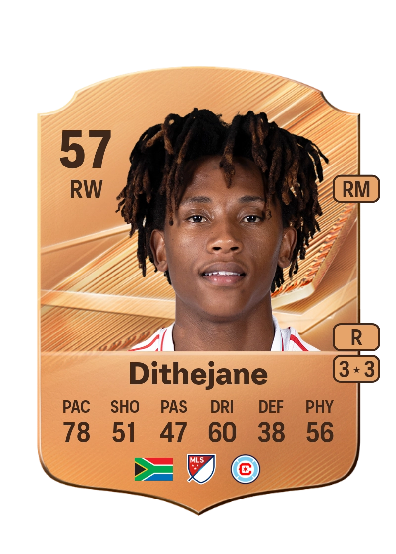 Puso Dithejane