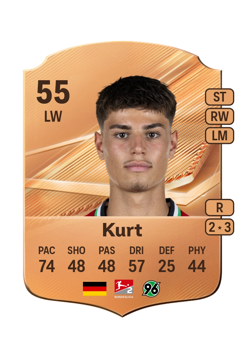 Taycan Kurt