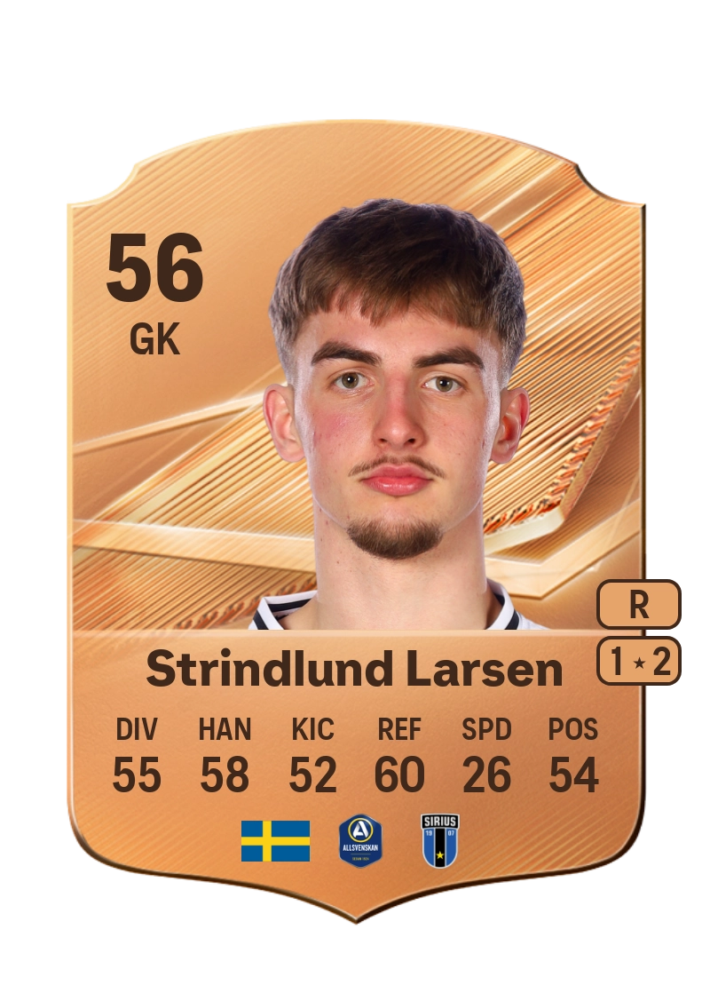 Villy Strindlund Larsen