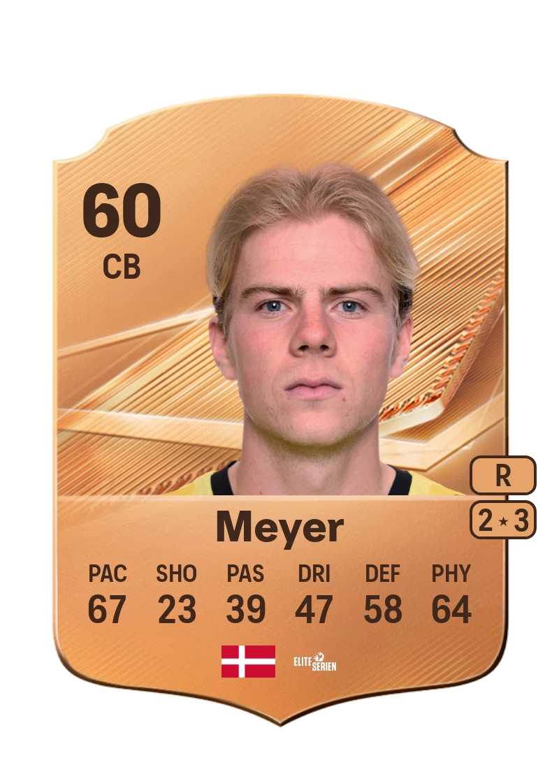 Johan Meyer