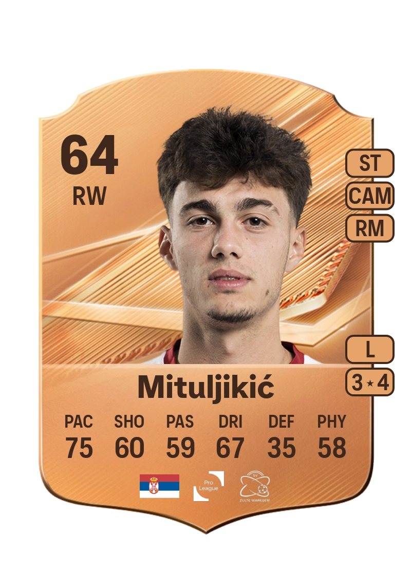 Nikola Mituljikić