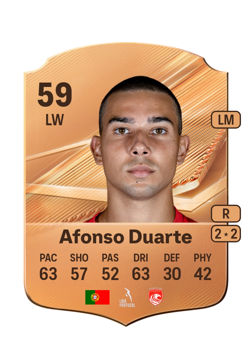 Afonso Duarte