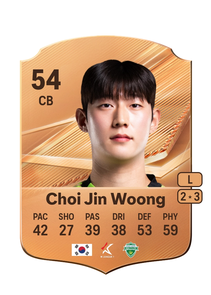 Choi Jin Woong