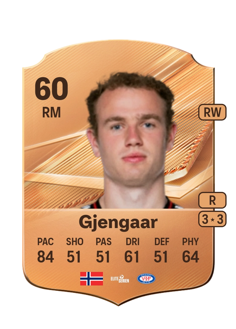 Dennis Gjengaar