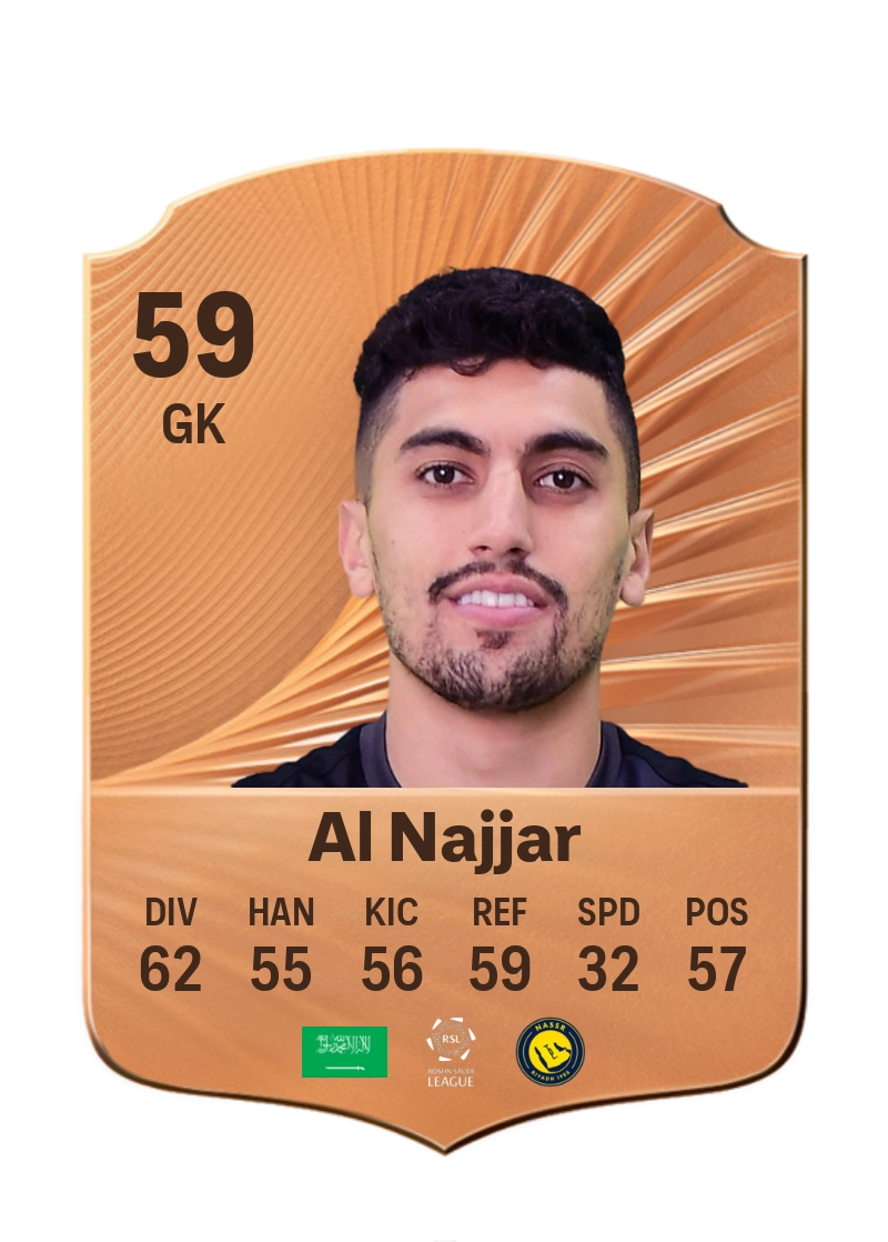 Raghid Al Najjar