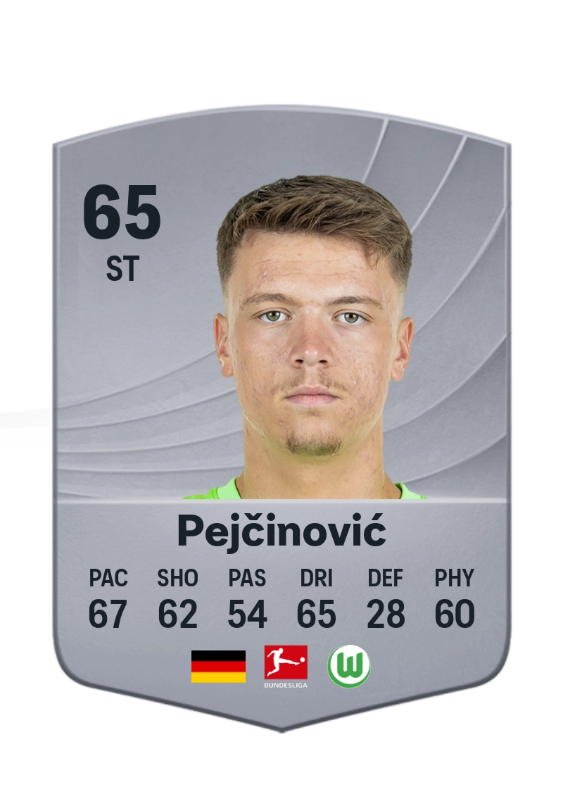 Dženan Pejčinović