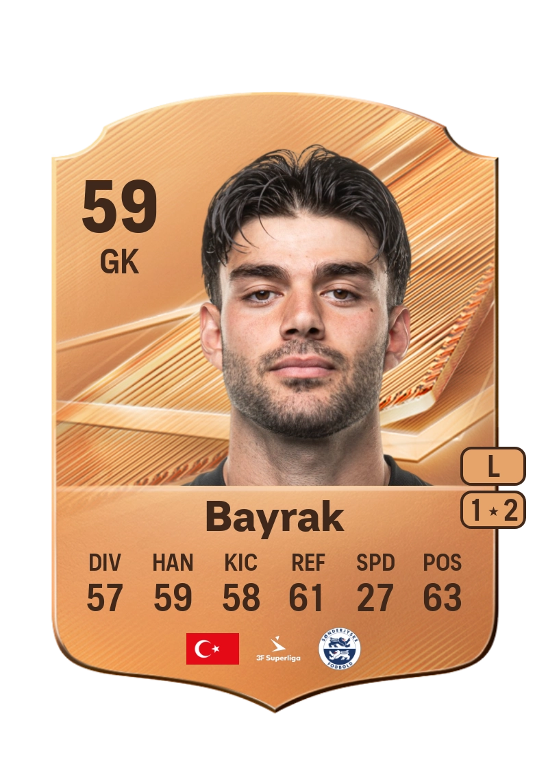 Berkant Bayrak