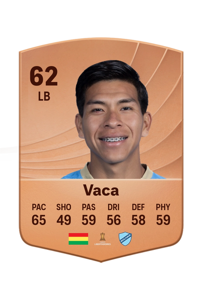 Ervin Vaca