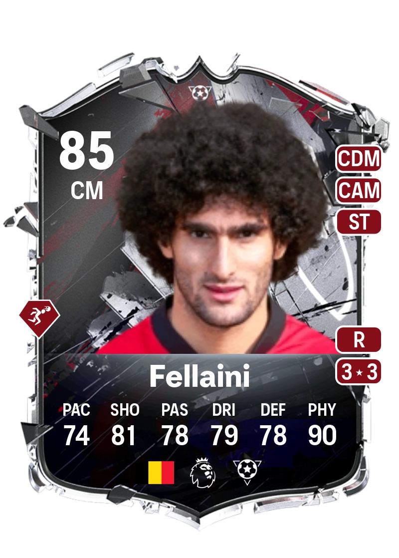 Marouane Fellaini