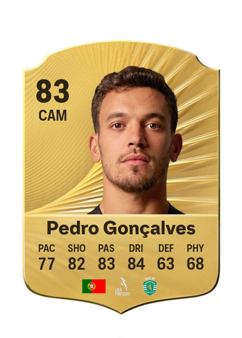 Pedro Gonçalves