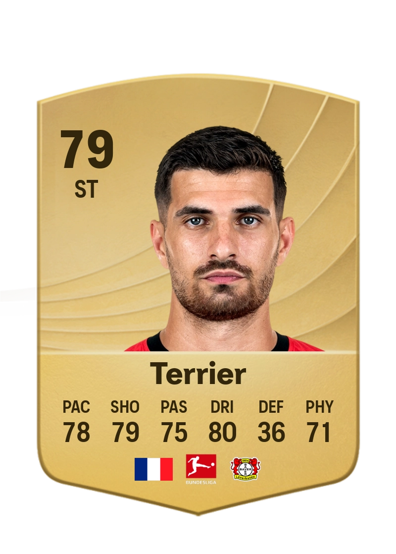 Martin Terrier