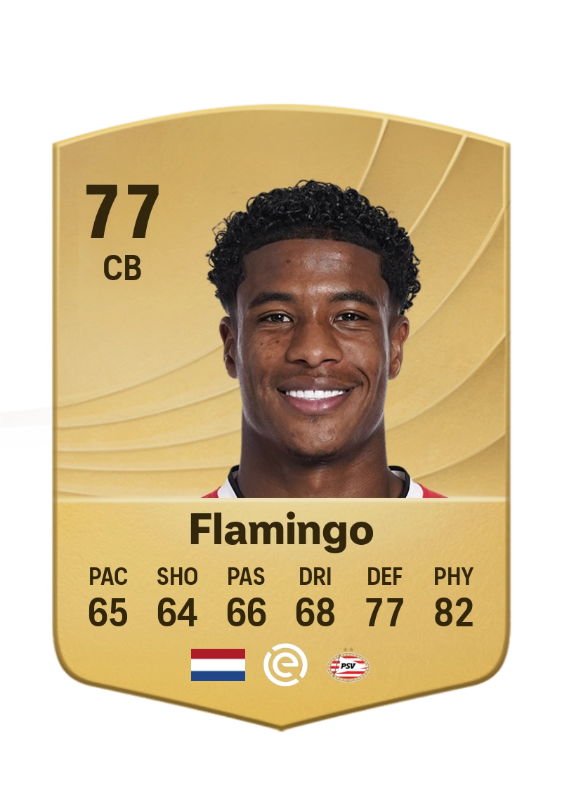 Ryan Flamingo