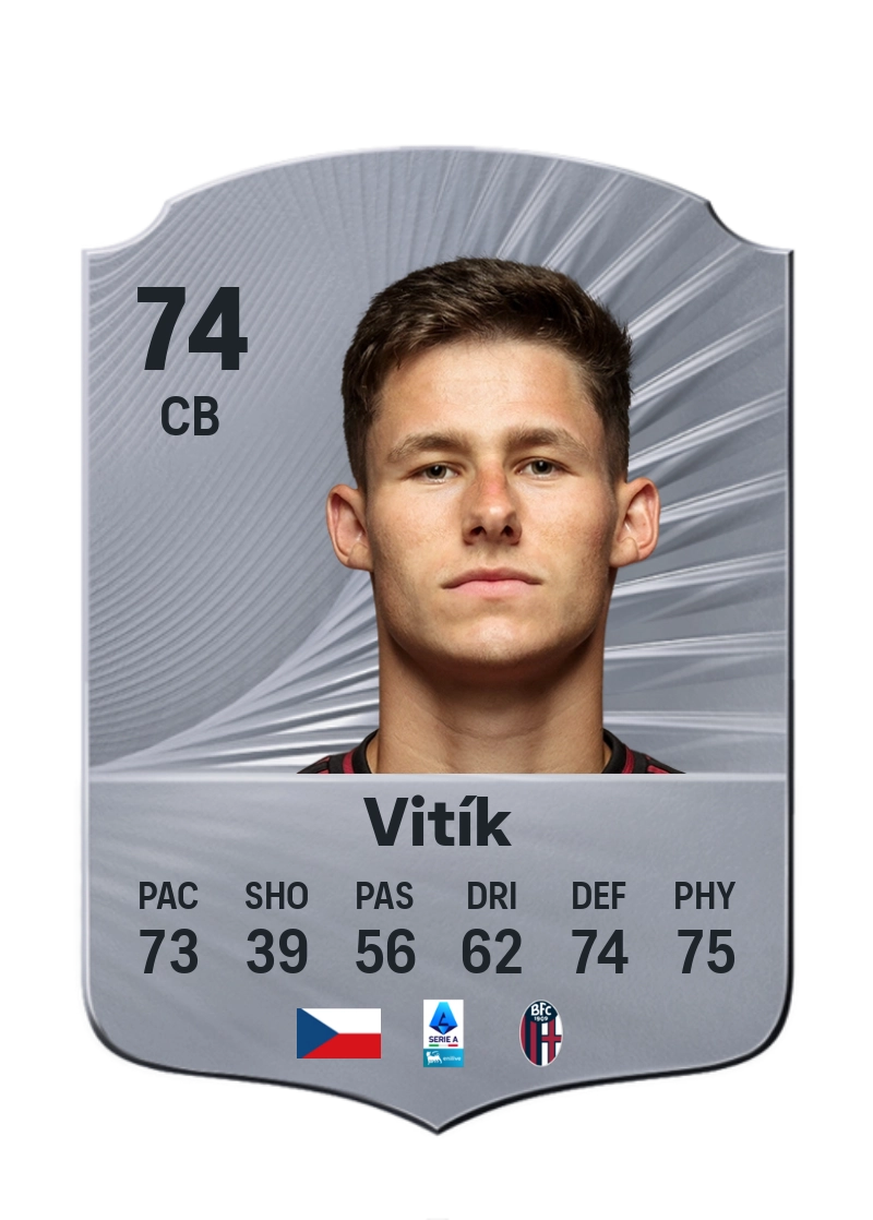Martin Vitík