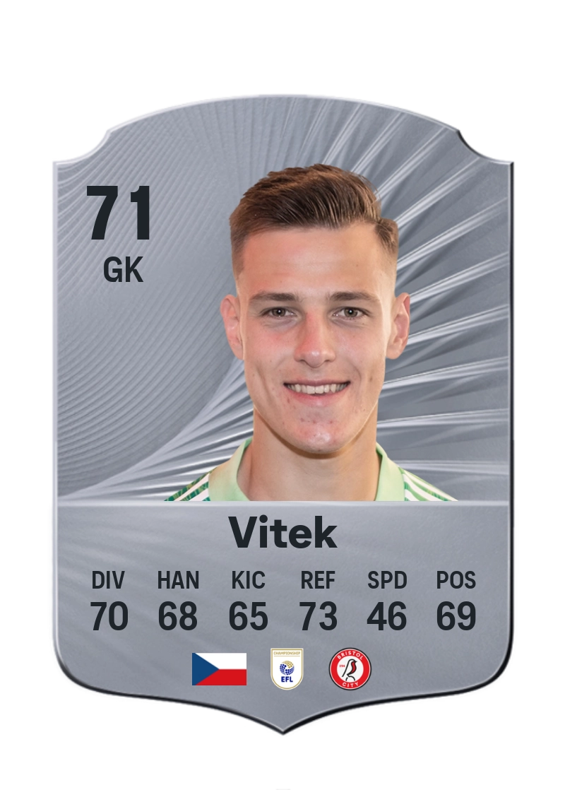 Radek Vítek
