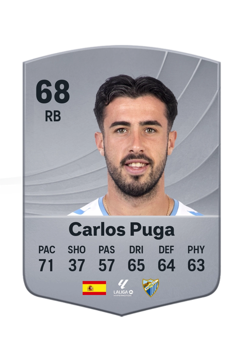 Puga