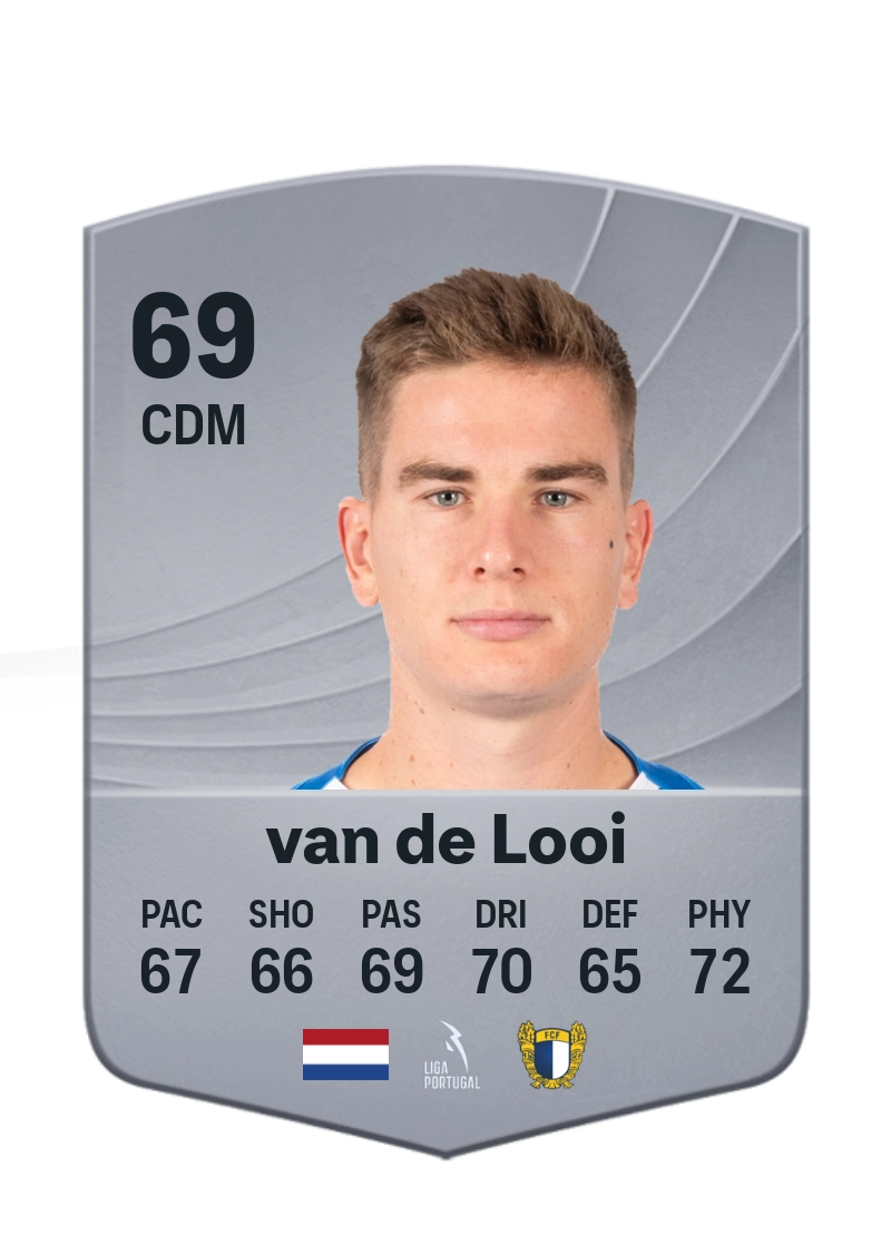 Tom van de Looi