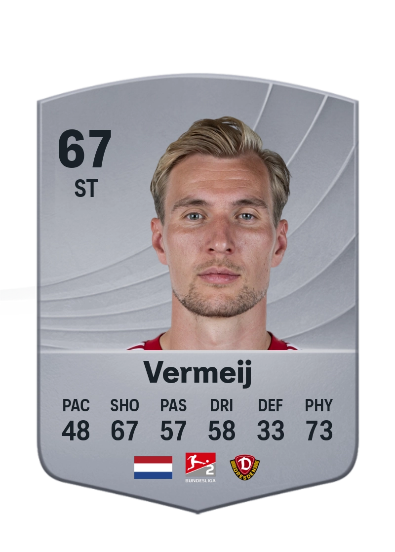 Vincent Vermeij