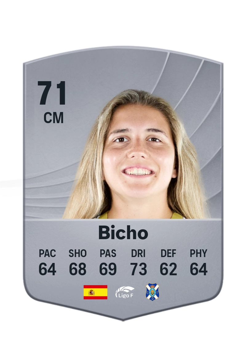Bicho