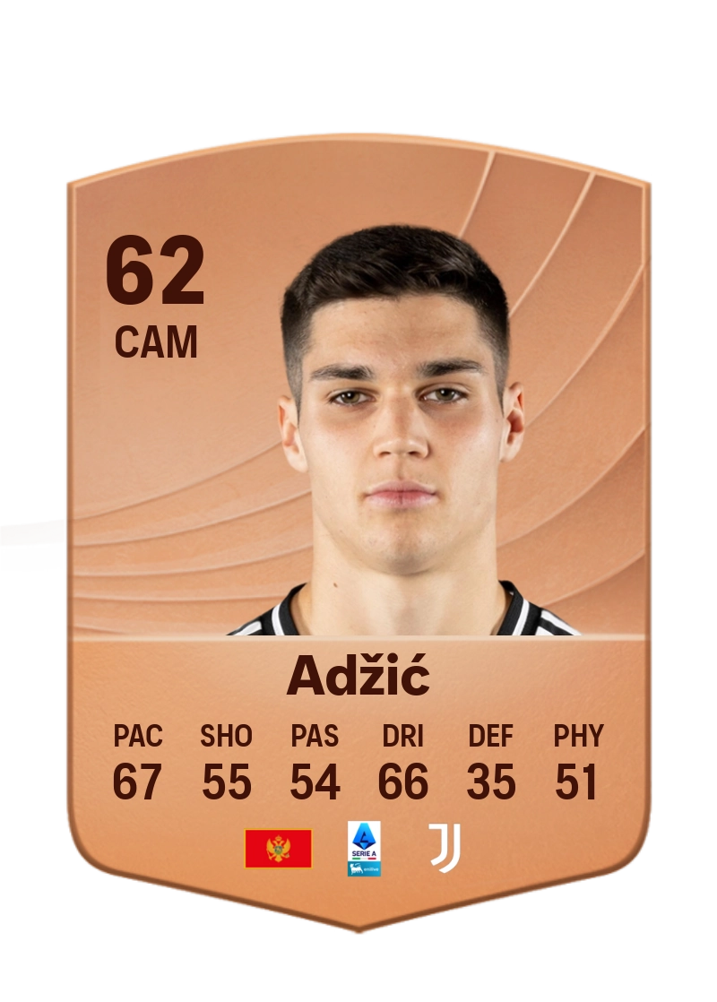 Vasilije Adžić