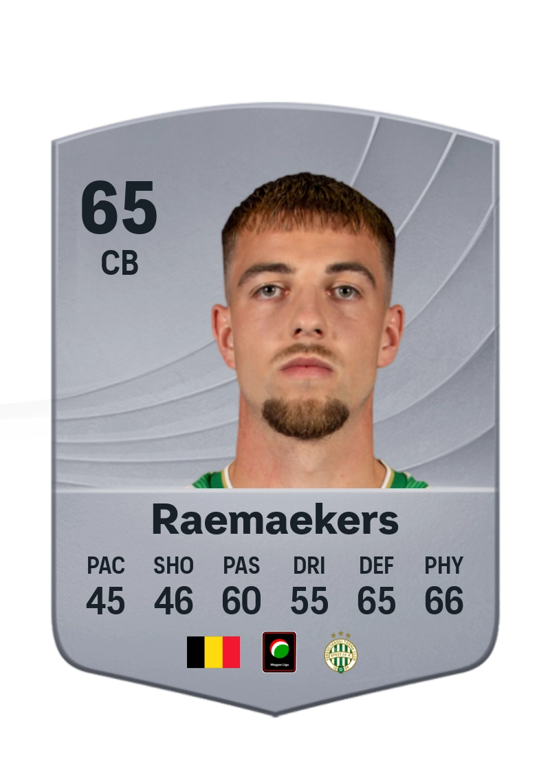 Toon Raemaekers