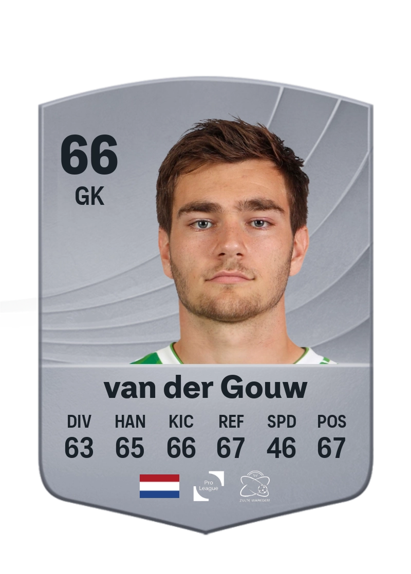Ennio van der Gouw