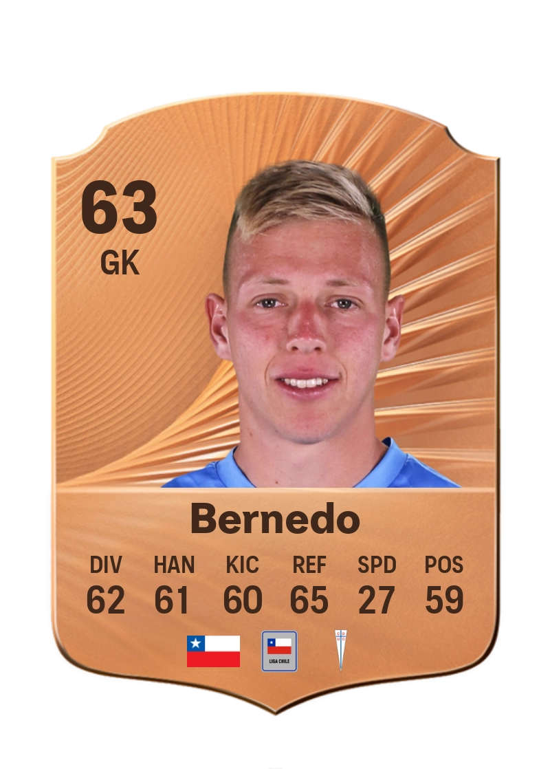 Vicente Bernedo
