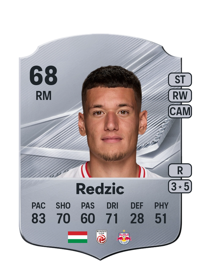 Damir Redzic