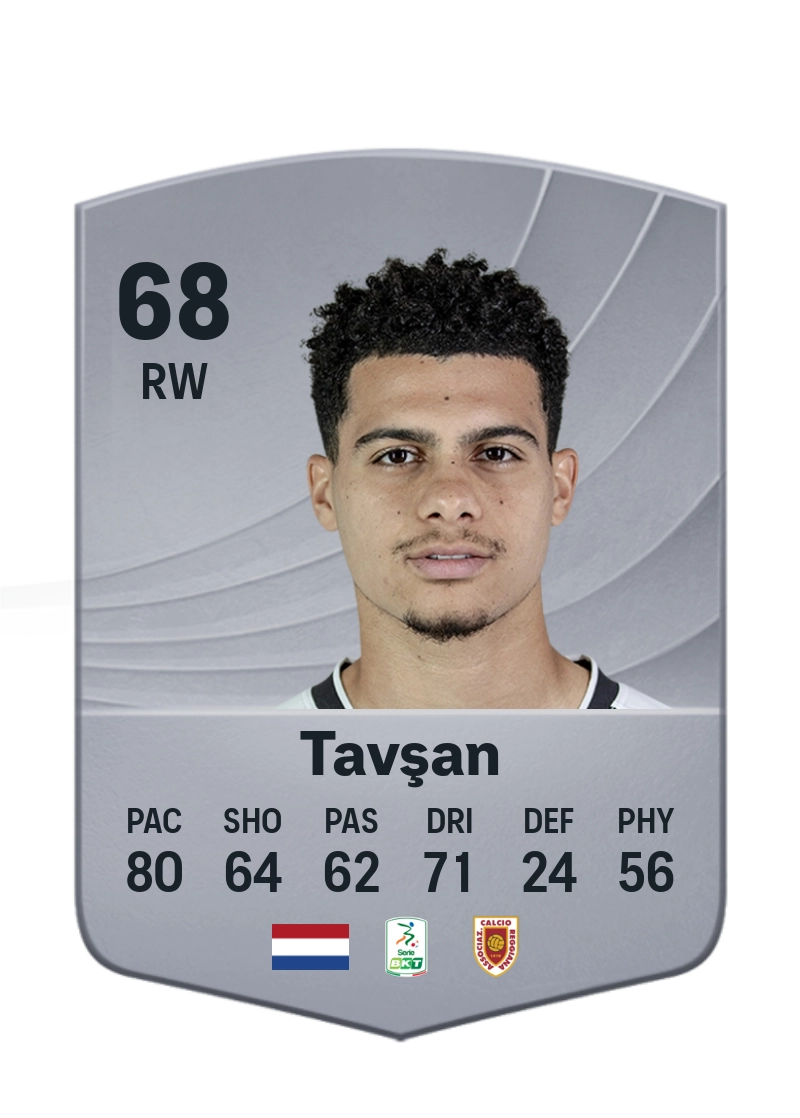 Elayis Tavşan