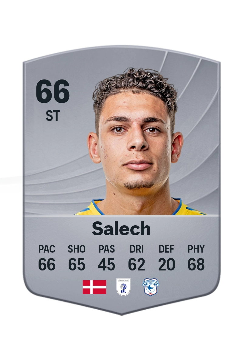 Yousef Salech