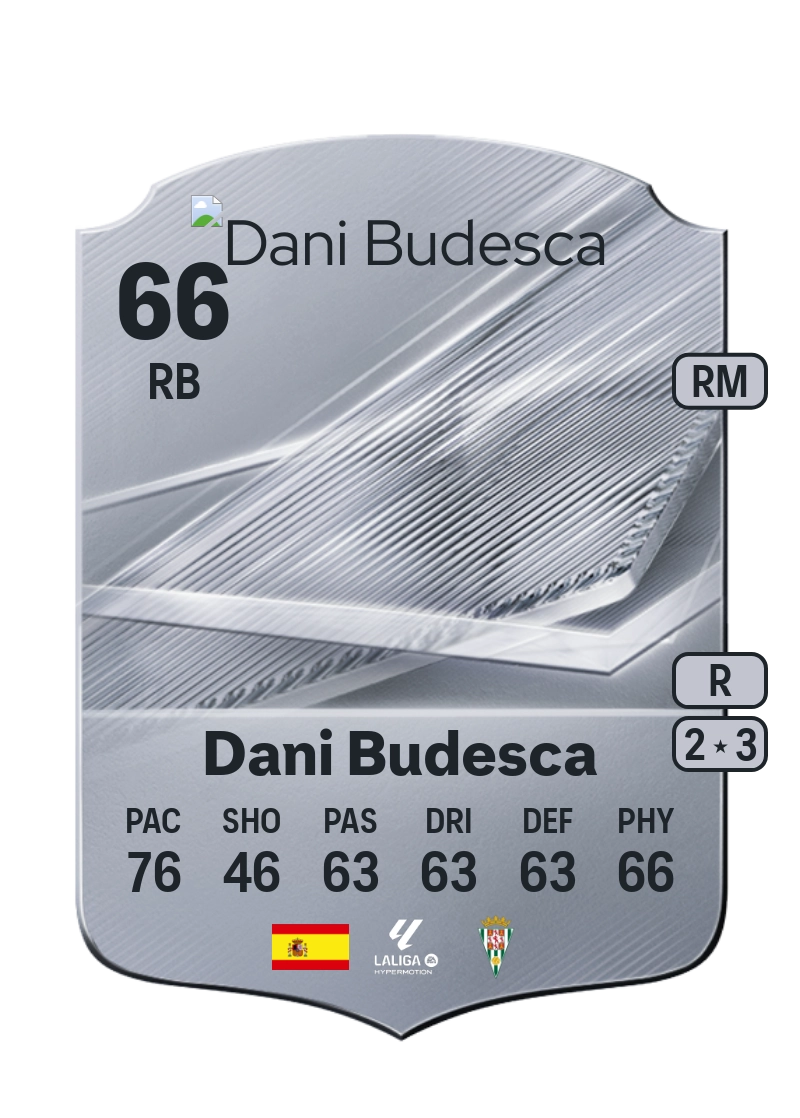 Dani Budesca