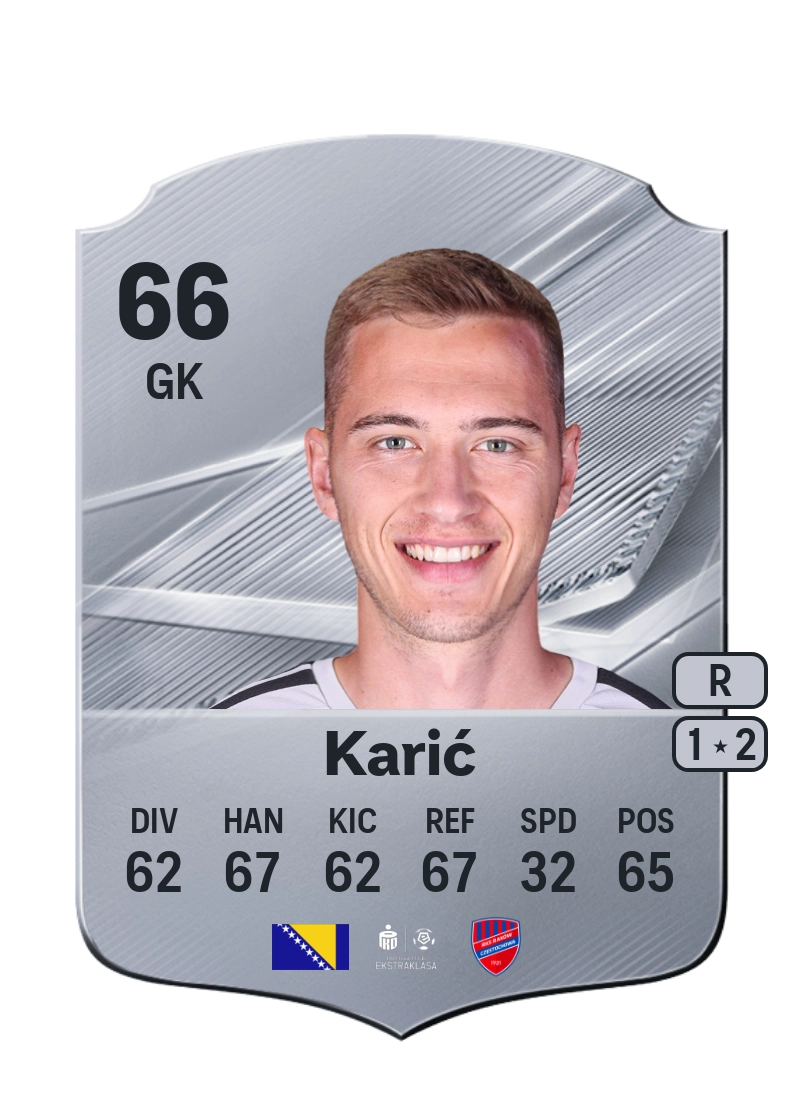 Tarik Karić