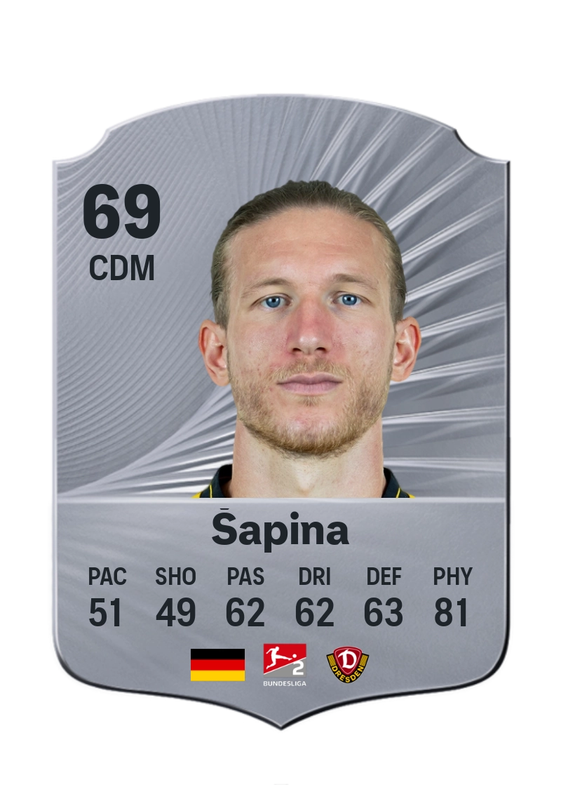 Vinko Šapina