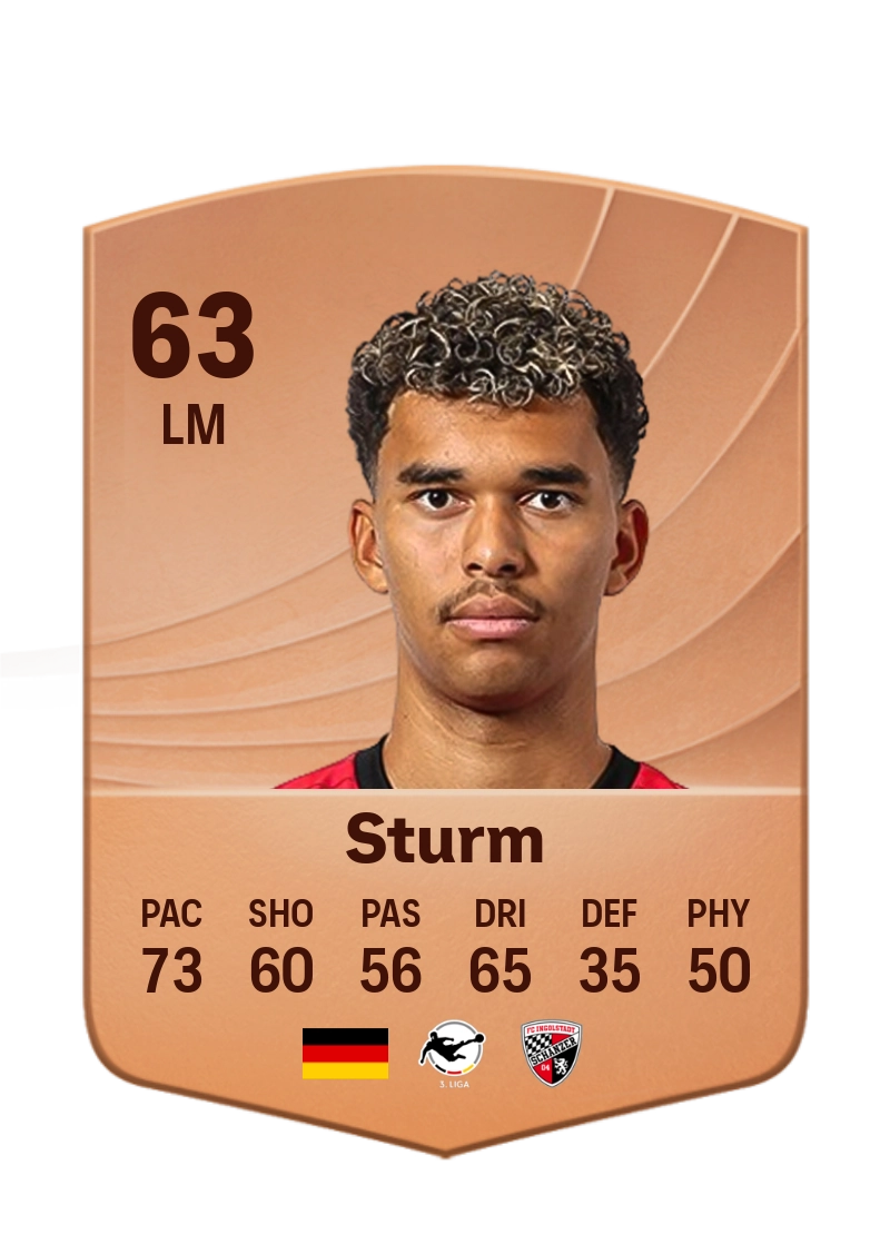 Yann Sturm
