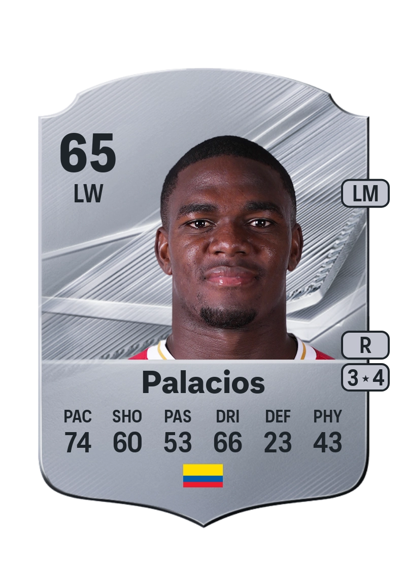 Jhon Tilman Palacios