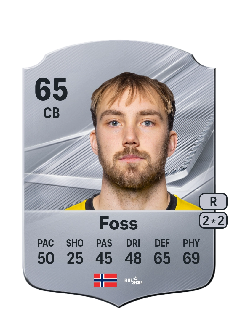 Sander Moen Foss