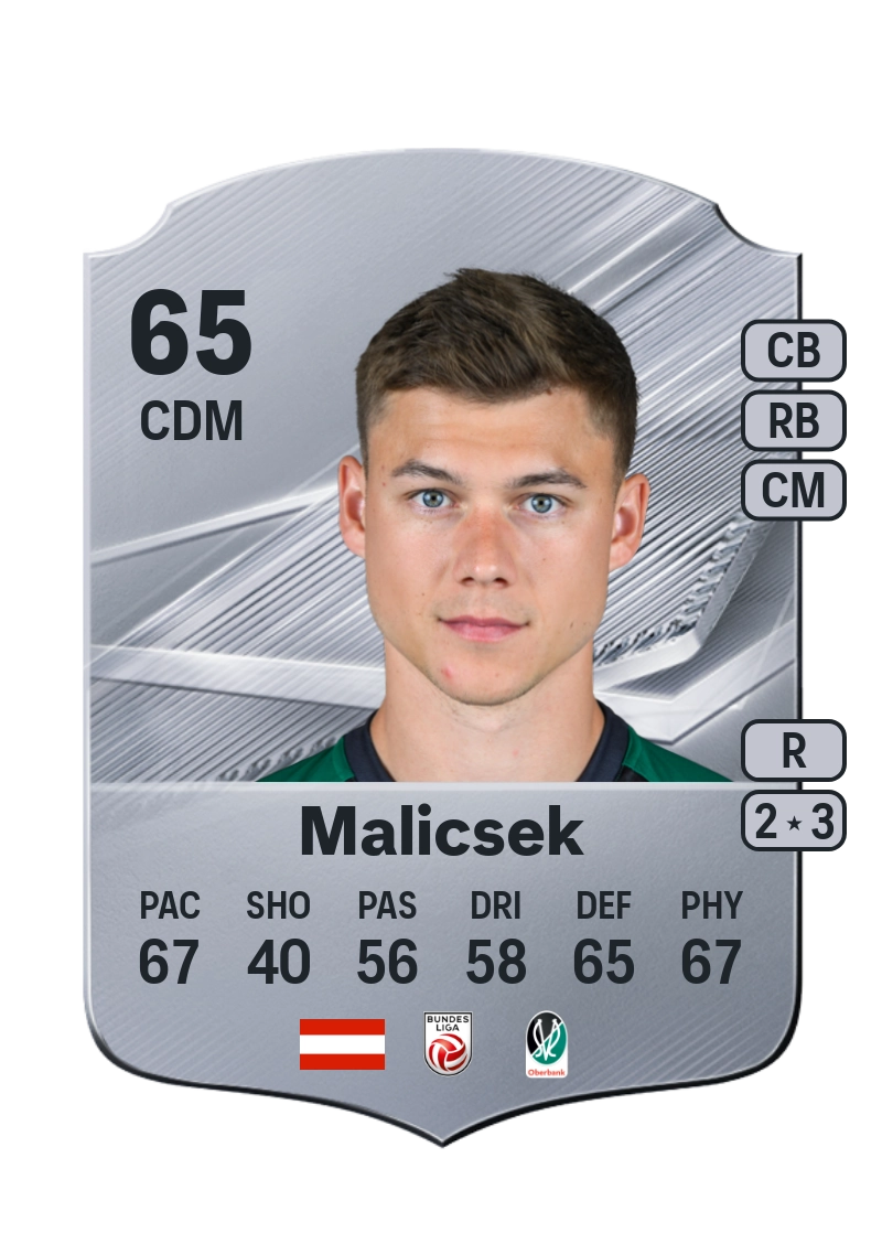 Lukas Malicsek