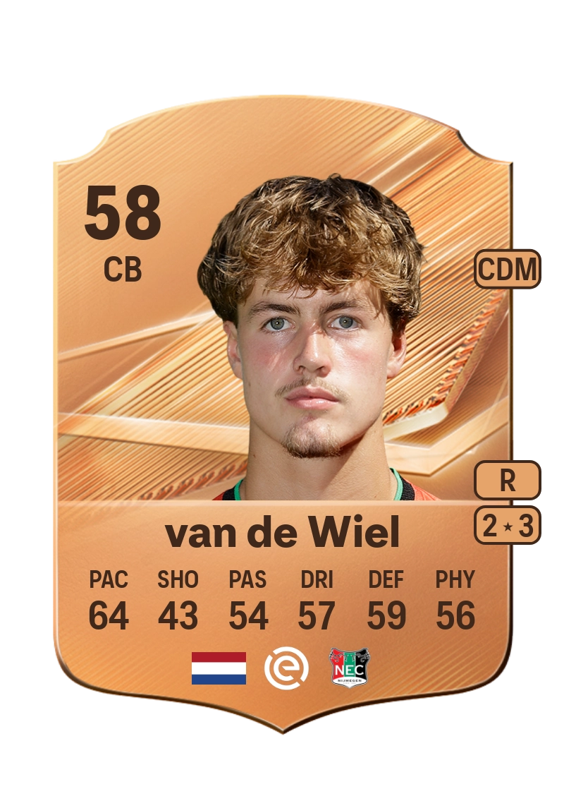 Merijn van de Wiel