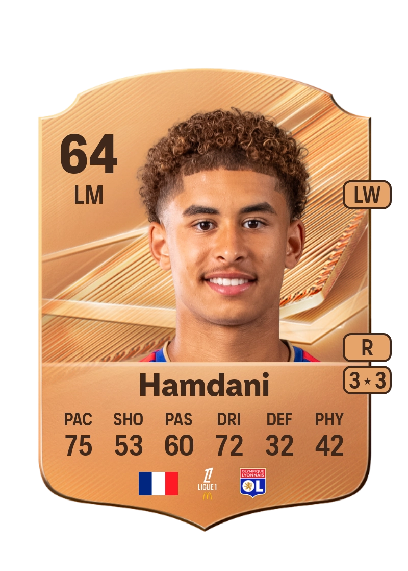 Adil Hamdani